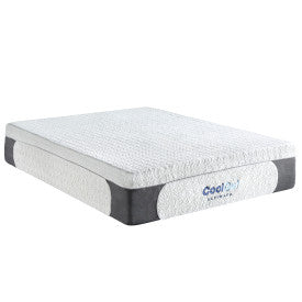 Cool Gel 1.0 Ultimate Gel Memory Foam 14-Inch Mattress with BONUS 2 Pillows, Queen